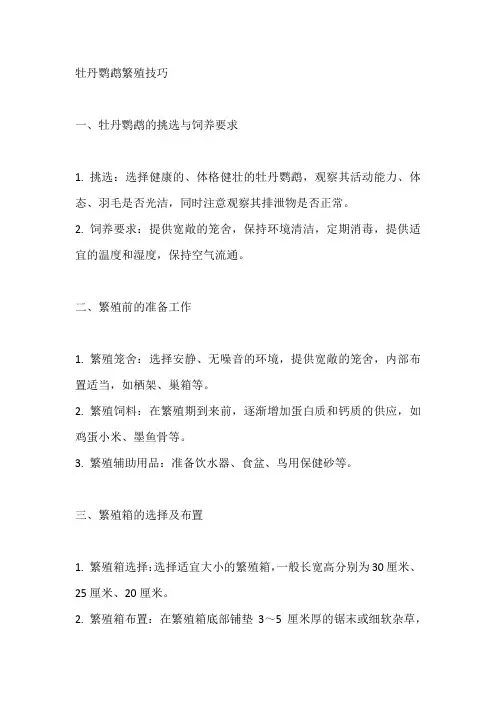 牡丹鹦鹉繁殖技巧