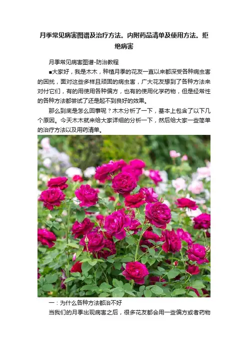 月季常见病害图谱及治疗方法。内附药品清单及使用方法。拒绝病害