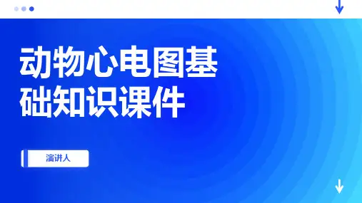 动物心电图基础知识课件