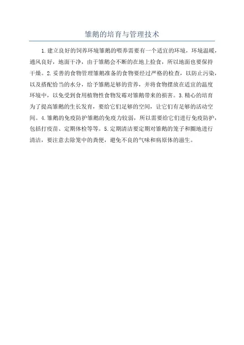 雏鹅的培育与管理技术