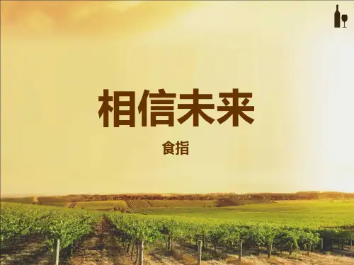 相信未来ppt