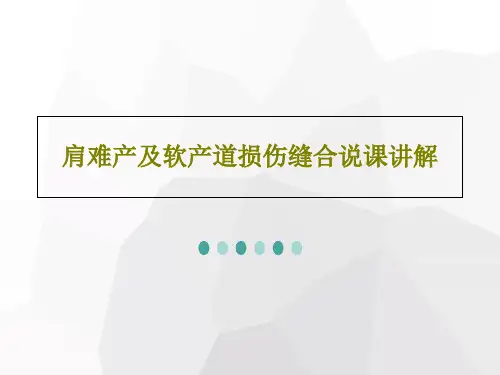 肩难产及软产道损伤缝合说课讲解37页PPT