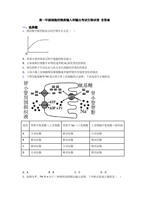 高一年级细胞的物质输入和输出考试生物试卷 含答案