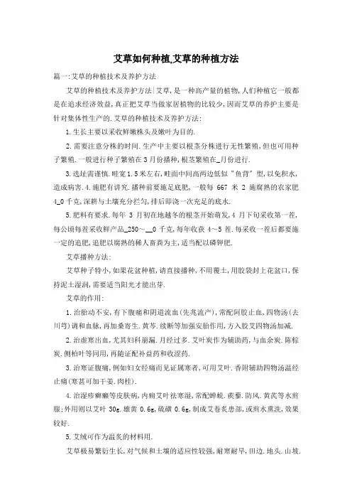 艾草如何种植,艾草的种植方法