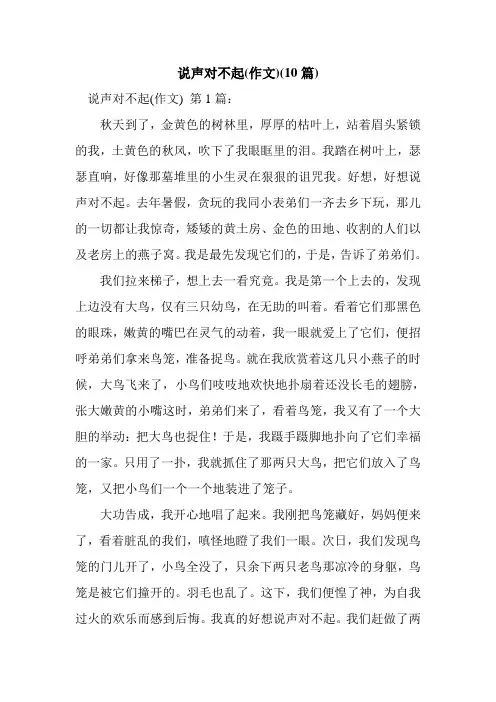 新整理说声对不起(作文)(10篇)