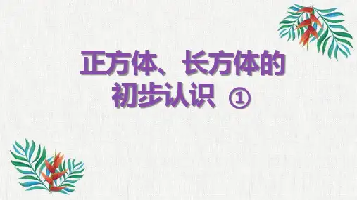 沪教版二年级上册数学正方体、长方体的初步认识(课件) 