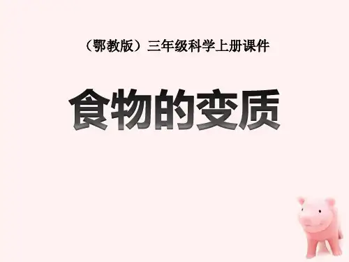《食物的变质》生活中的食物PPT课件-完美版