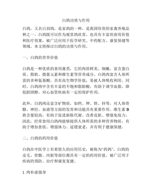 白鸽功效与作用