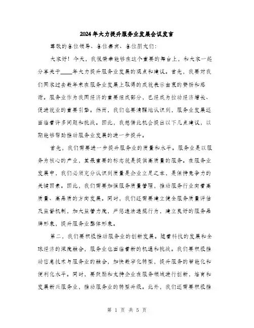 2024年大力提升服务业发展会议发言(2篇)