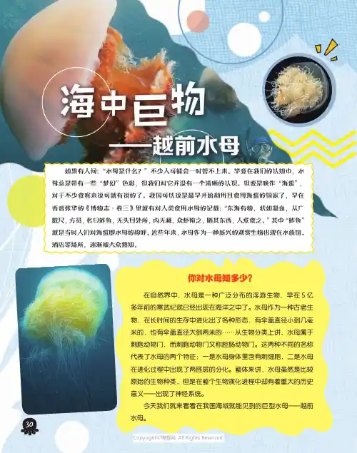 211257862_海中巨物——_越前水母