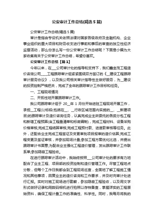 公安审计工作总结（精选5篇）