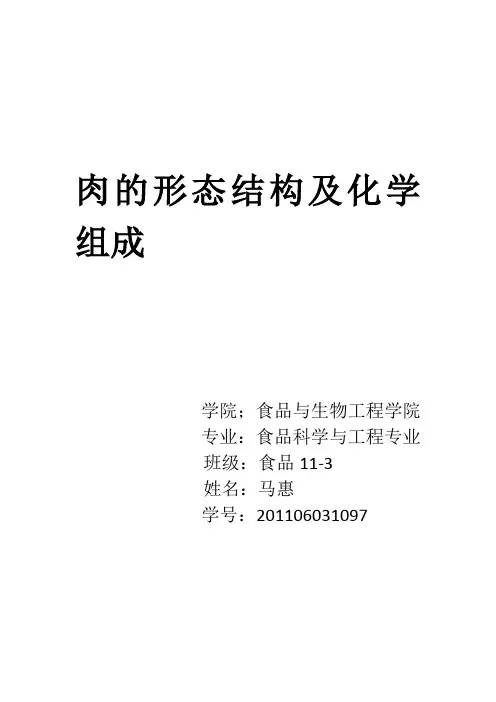 第一节  肉的形态结构及特性
