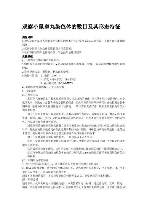 观察小鼠睾丸染色体的数目及其形态特征
