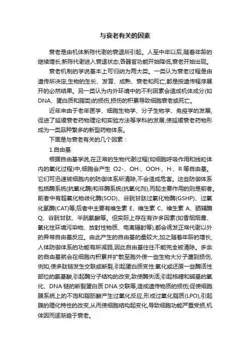 与衰老有关的因素