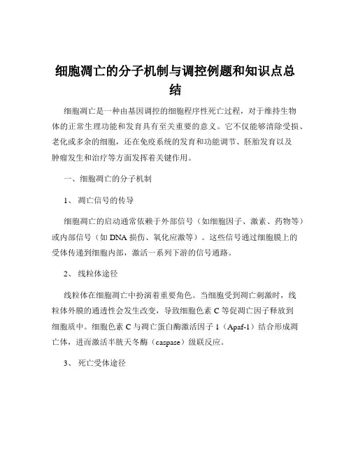 细胞凋亡的分子机制与调控例题和知识点总结