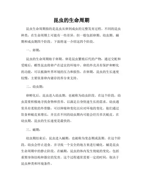 昆虫的生命周期