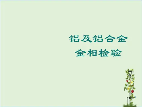 1.铝及铝合金金相检验