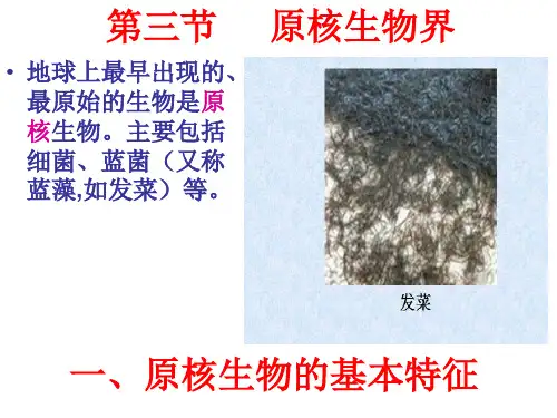 初中生物  原核生物界1 北京版精品课件