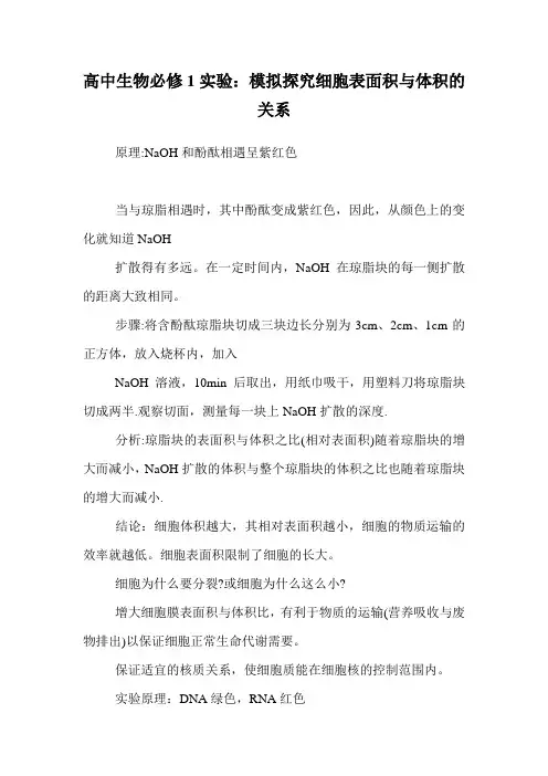 高中生物必修1实验：模拟探究细胞表面积与体积的关系