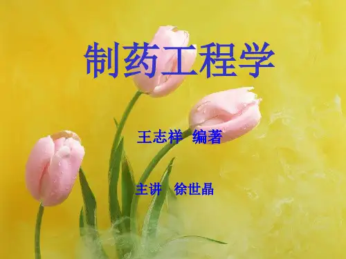 第1章 制药工程设计概论