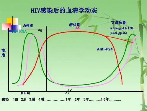 检测技术及梅毒实验室检测技术(共39张PPT)