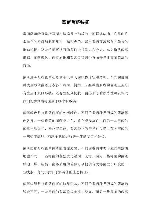 霉菌菌落特征