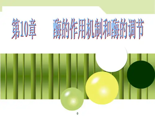 一酶的活性中心