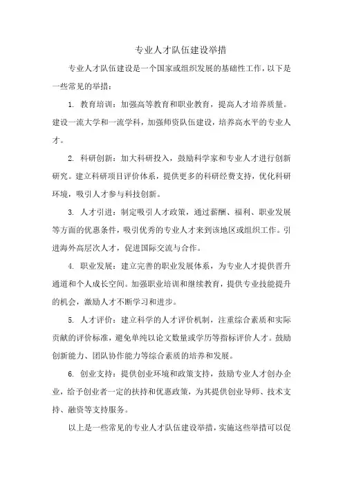 专业人才队伍建设举措