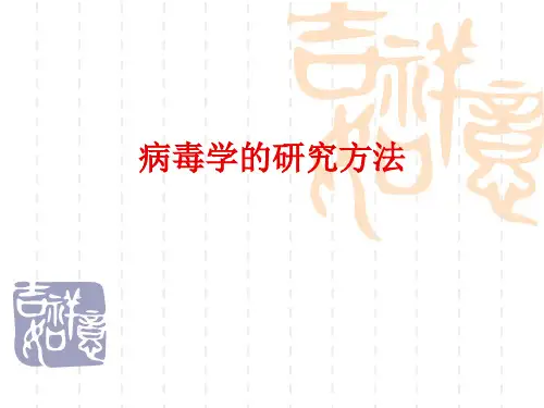 病毒的研究方法