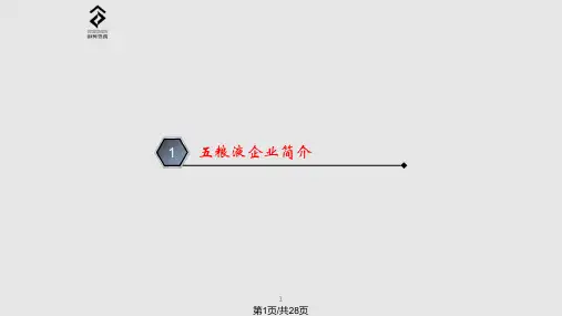 五粮液公司介绍PPT课件