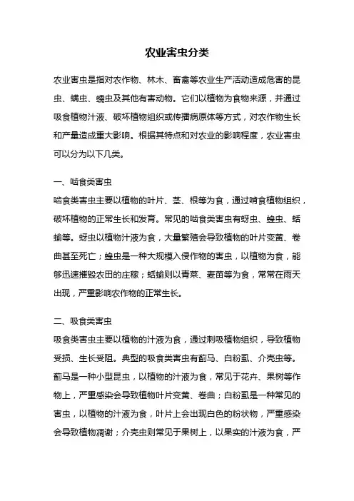农业害虫分类