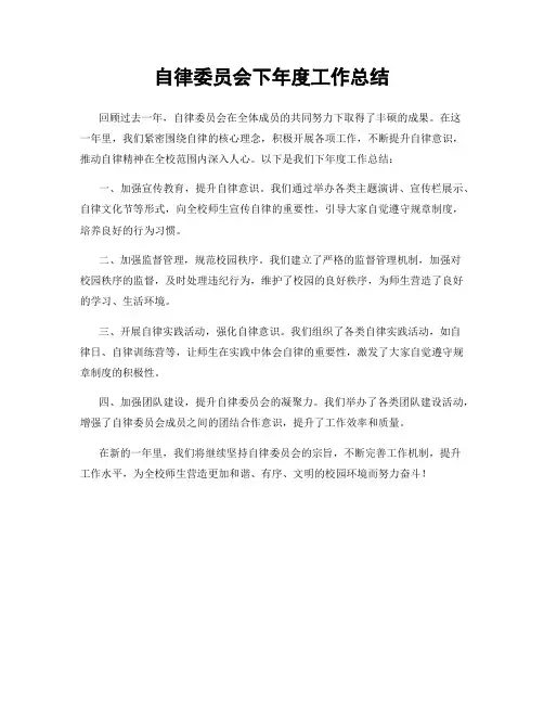 自律委员会下年度工作总结
