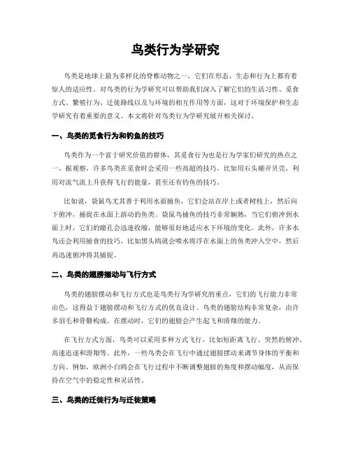 鸟类行为学研究