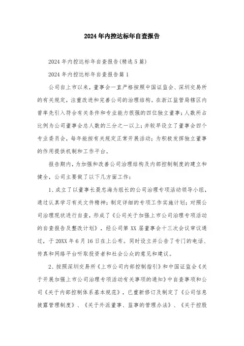 2024年内控达标年自查报告