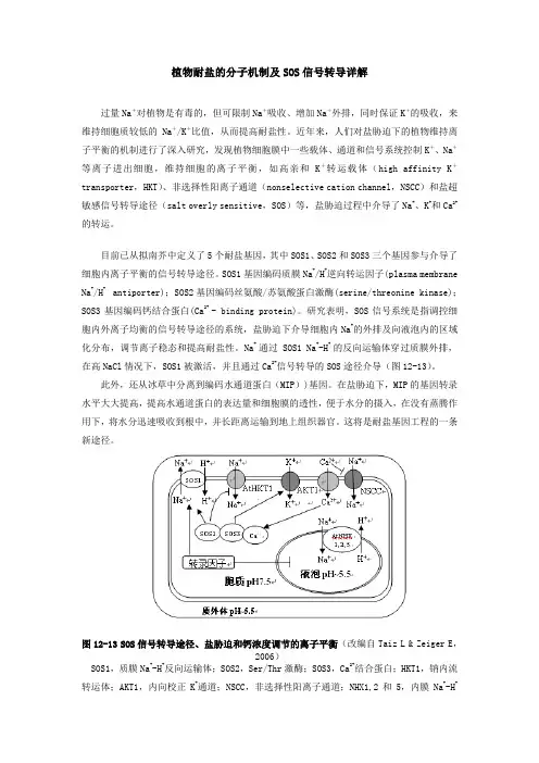 植物耐盐的分子机制及SOS信号转导详解