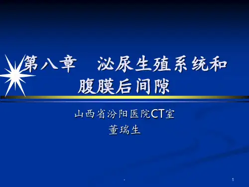 肾上腺影像诊断PPT课件