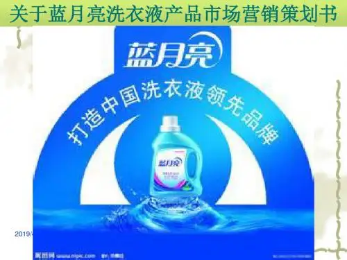 蓝月亮市场营销策划书PPT