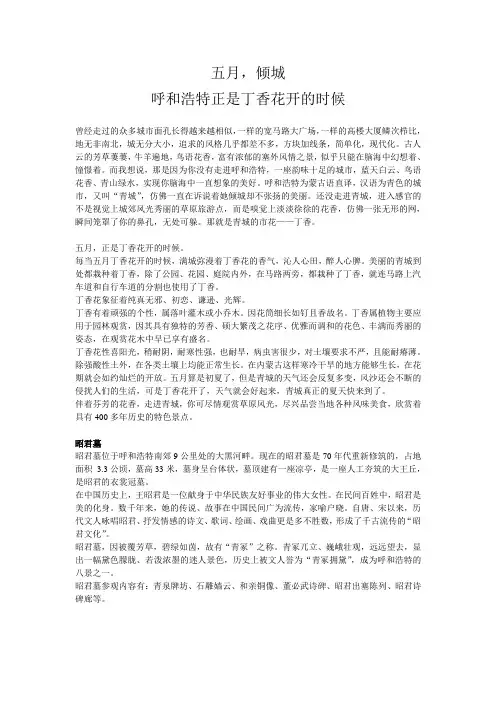 五月,呼和浩特正是丁香花开的时候