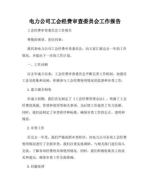 电力公司工会经费审查委员会工作报告