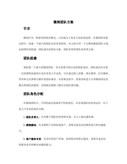 微商团队方案