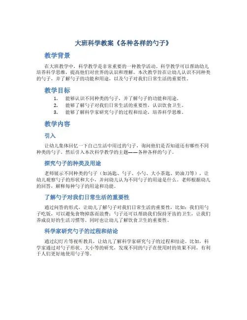 大班科学教案《各种各样的勺子》