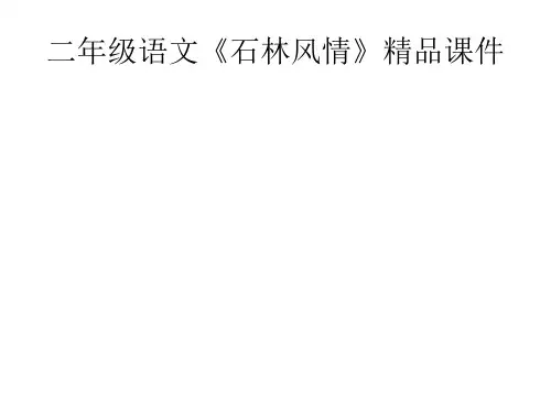 二年级语文《石林风情》精品课件
