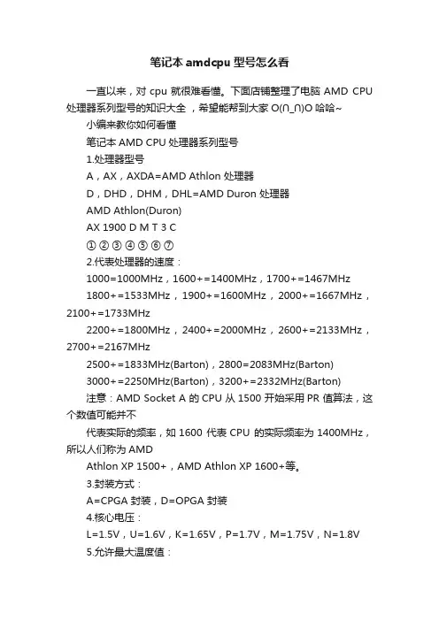 笔记本amdcpu型号怎么看
