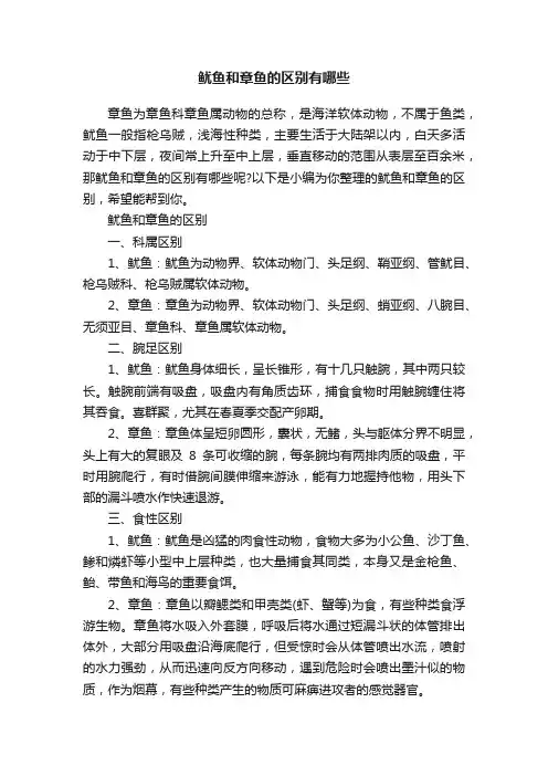 鱿鱼和章鱼的区别有哪些