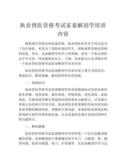 执业兽医资格考试家畜解剖学培训内容