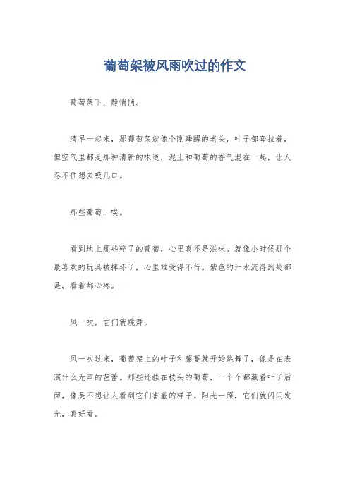 葡萄架被风雨吹过的作文