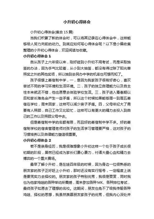 小升初心得体会