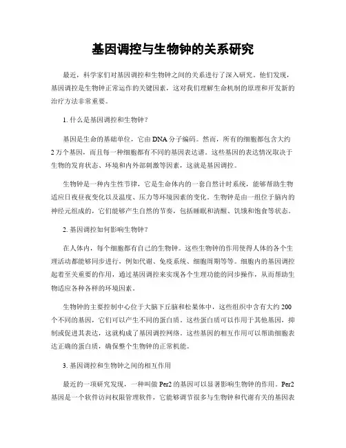 基因调控与生物钟的关系研究
