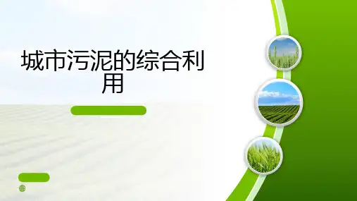 城市污泥的综合利用