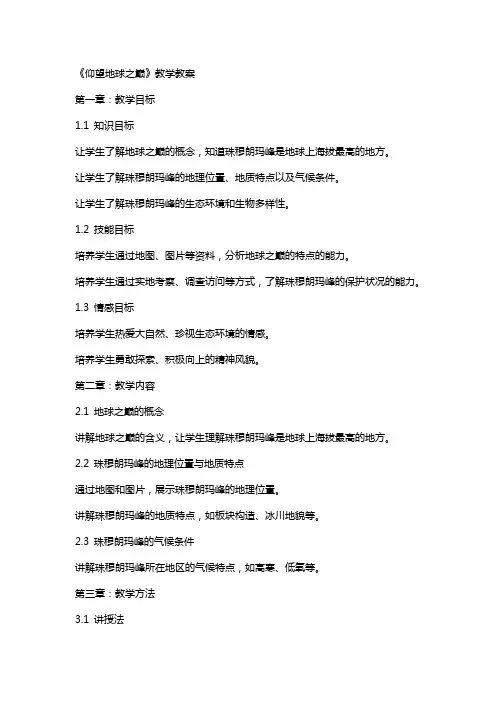 《仰望地球之巅》教学教案